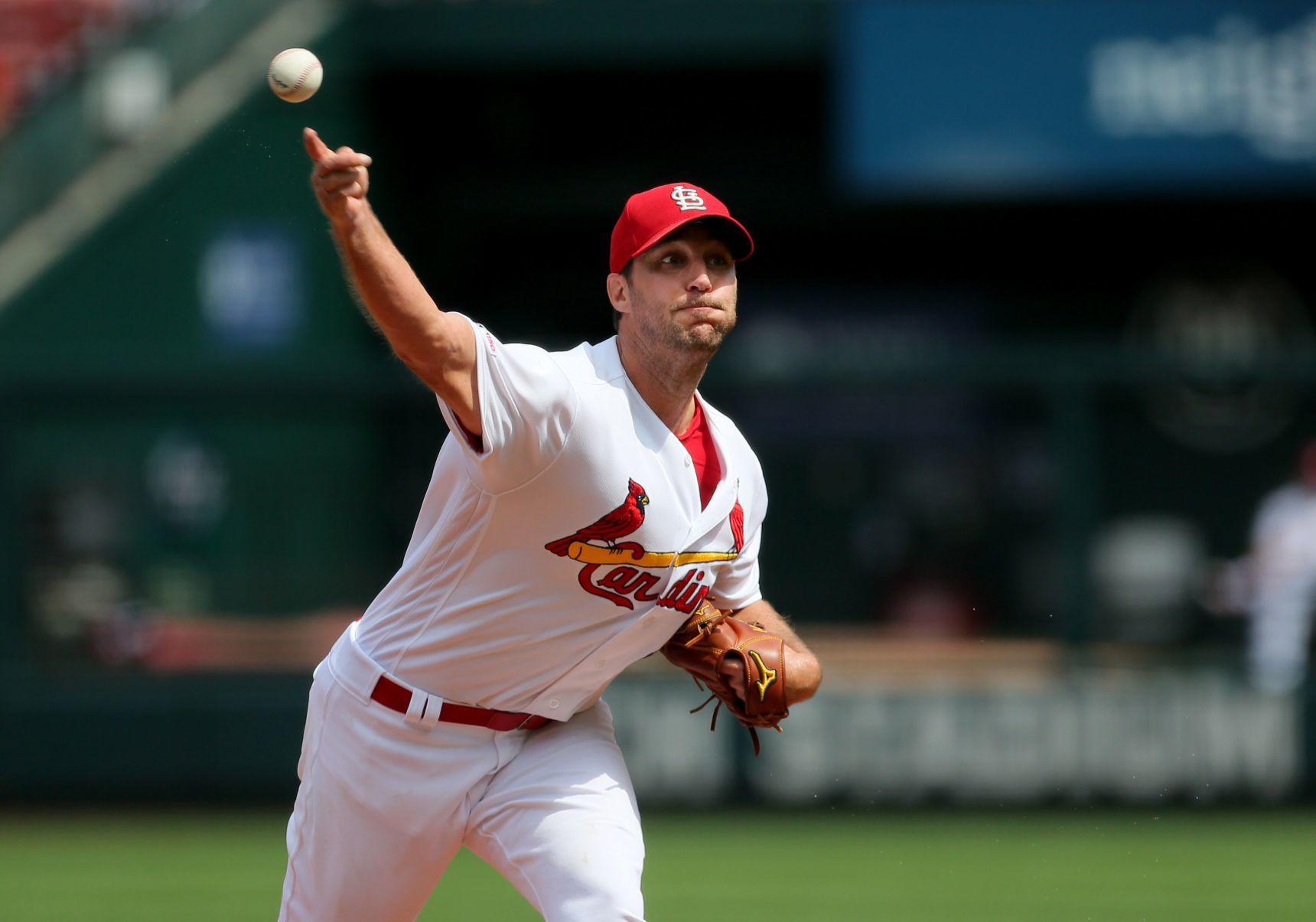 San Francisco Giants vs St. Louis Cardinals